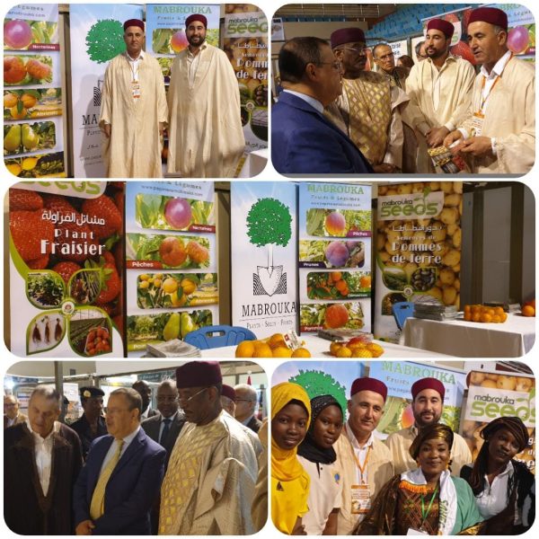 Mabrouka Seeds au Niger - Salon international de l'agriculture - Niamey