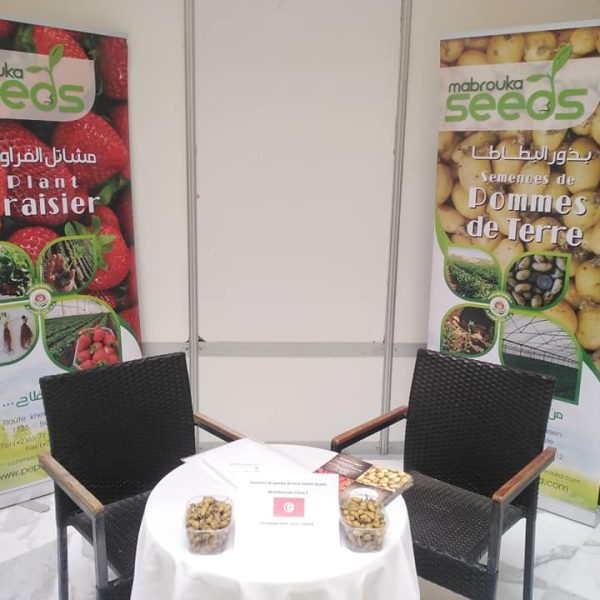 Participation de Mabrouka Seeds au Congrès de l'Association Africaine du Commerce des Semences AFSTA 2022