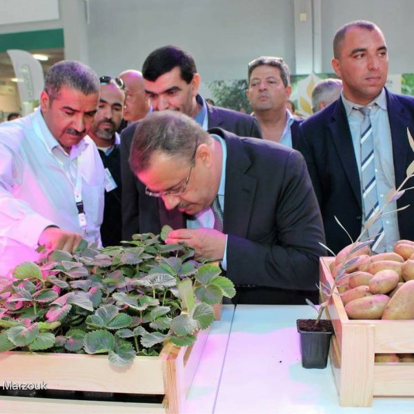 Participation de Mabrouka Seeds au SIAMAP 2017, Tunis, Tunisie 1