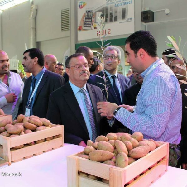 Participation de Mabrouka Seeds au SIAMAP 2017, Tunis, Tunisie 2